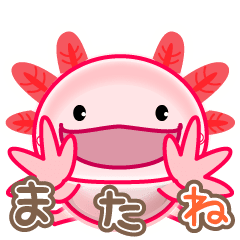 YOSSAN's "Axolotl" sticker