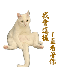 滿仔 生活版