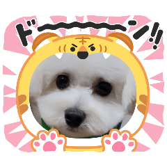 su-re