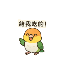凱克鸚鵡的生活