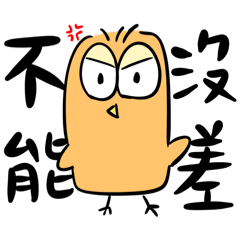 土雞家族  咕咕