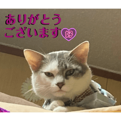 yume_20250421203223