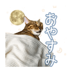 bazirustamp