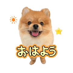 chikuwa_20250421163825
