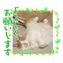hiro_20250421162241
