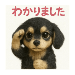 Nao_20250421205938