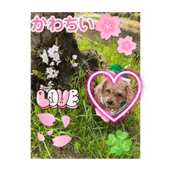 yukari_20250421210536