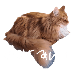 mei_20250421210847