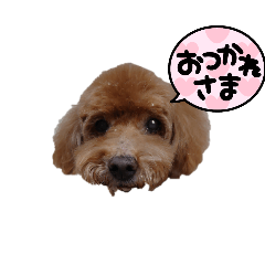 KAORI_20250421211206