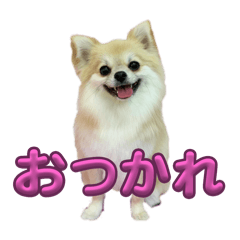 michan_20250421214500