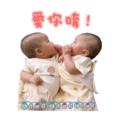 媞和蕎