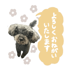 Tomomi_20250421190244