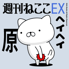 Move "Hara" name sticker feature