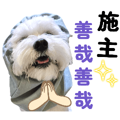愛笑的瑞瑞第二部，療癒的笑容陪伴你❤️