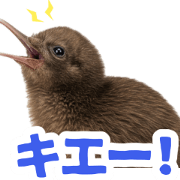 cute kiwi stickers