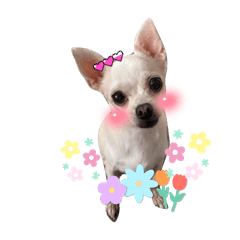 Kiki_20250419075925