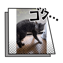 cutecats10