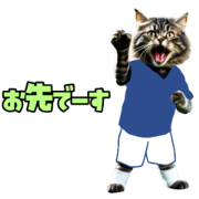 Soccer-loving cat