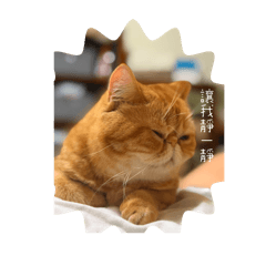 跳跳&巧克力
