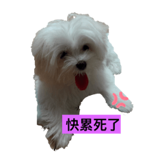 吳糖糖寶貝貝