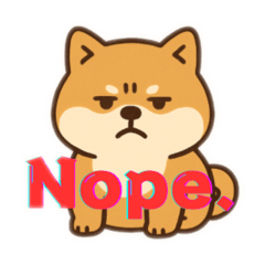 Moody Shiba Inu