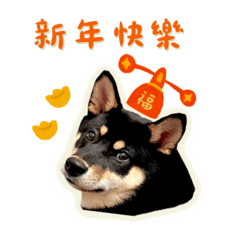 黑柴米糕vol.2