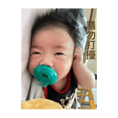 洧洧照