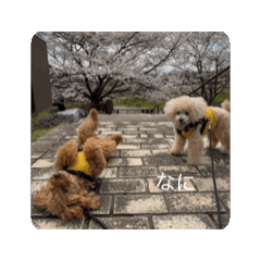 kana_20250421174511
