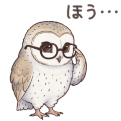 メンフクロウの夏