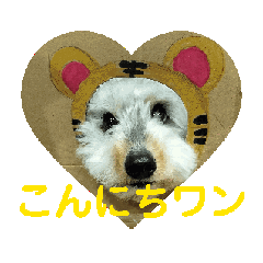 megumi_20250421192458