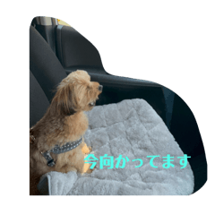 keechraw_20250421214201
