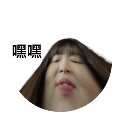 毛毛圈和嘉嘉灰