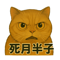 大尾＆橘子2