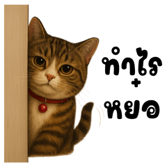 I am Salid Cat