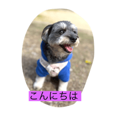 haruka_20250421232508