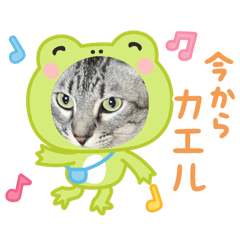 chibi_20250421234806