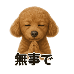 MINA_20250421003050