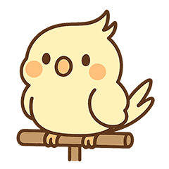 Taro the Cockatiel - Daily Life (1)