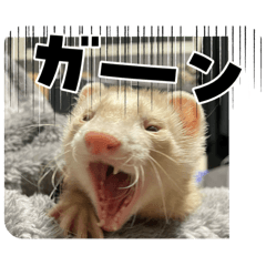 MIZU_20250421235900