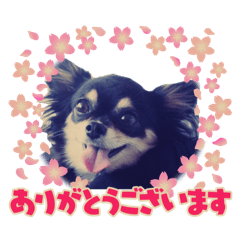yu_20250422014935