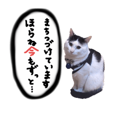 natsu_20250422025323