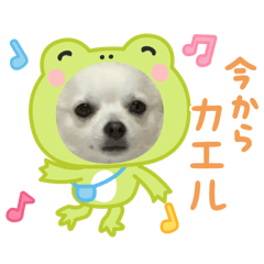 yuka_20250422063119