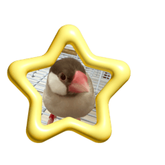 omochi_20250422063517