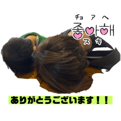 koto_20250422053300