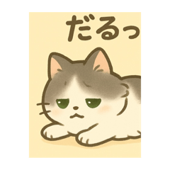猫のmomo2