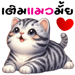 เติมแมวมั้ย ? ^_^