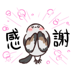 nono_20250422084035