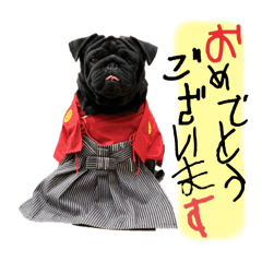 Haru_20250422093310