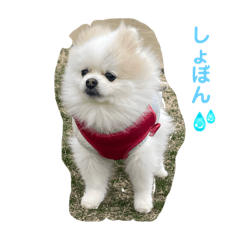 haru_20250422113750