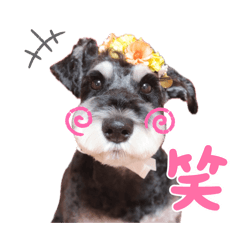 Lily_20250422133540